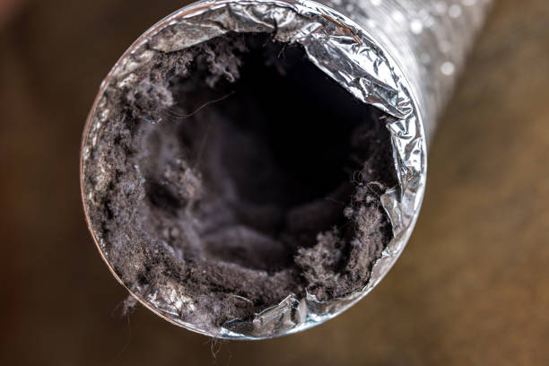 Best Dryer Vent Cleaning Services  in Downers Grove, IL