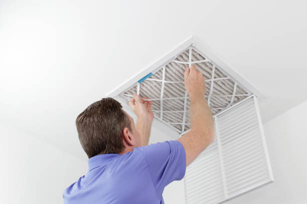 Best Air Vent Cleaning Services  in Downers Grove, IL